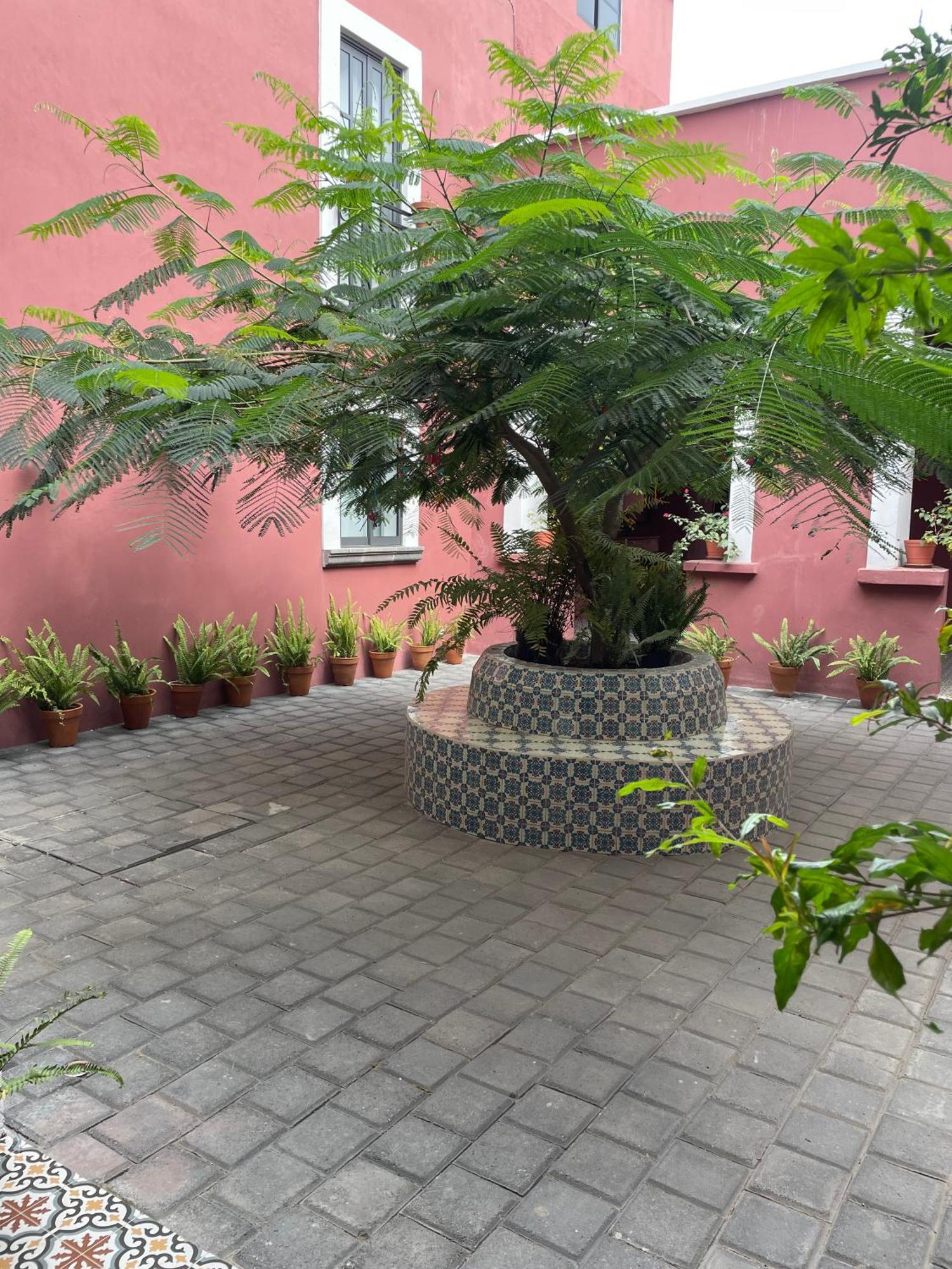 Quinta La Perla Hostel Guadalajara Exterior foto